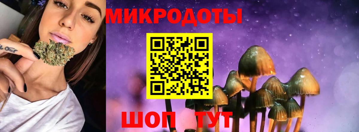 Псилоцибиновые грибы Cubensis Анапа